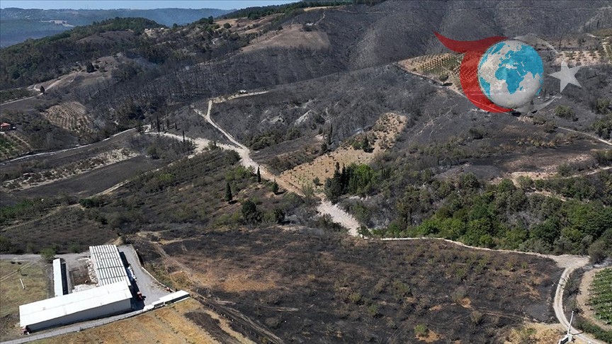 Kocaeli'deki Orman Yangınının Son Durumu: Havadan Görüntüler ve Müdahale Çalışmaları
