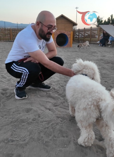 Köpek Eğitim Parkuru Kayseri'de Yoğun İlgi Görüyor