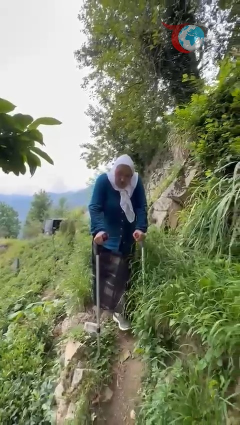 Rize'de 70 Yaşındaki Kadının Yol Çilesi: 400 Metrelik Umut!