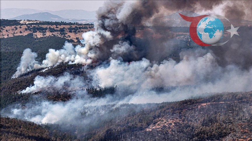 Türkiye'de Orman Yangınları: 2025 Yazında Tehdit Devam Ediyor