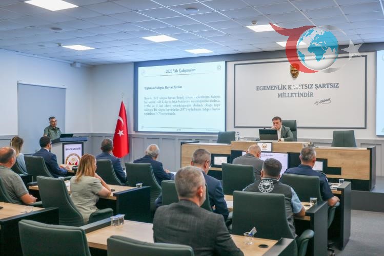 Bilecik’te Sokak Hayvanlarına Duyarlılık Artıyor: Hayvanları Koruma Kurulu Toplandı