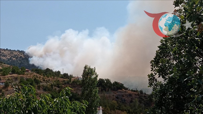 Çorum ve Malatya’da Orman Yangınları Tehlike Saçıyor