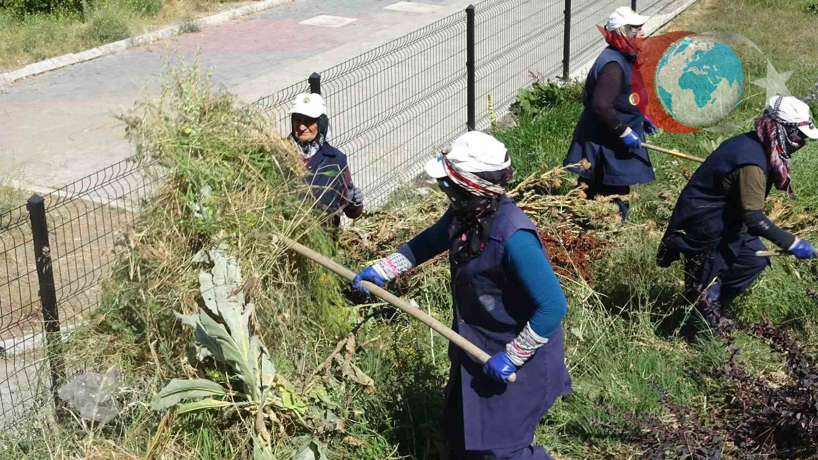 Kavurucu Sıcaklara Rağmen Tavşanlı’nın Emektar Kadın İşçileri