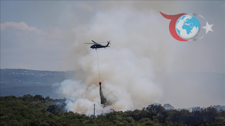 Bursa ve Sinop'ta Orman Yangınları: Ekipler Seferber Oldu