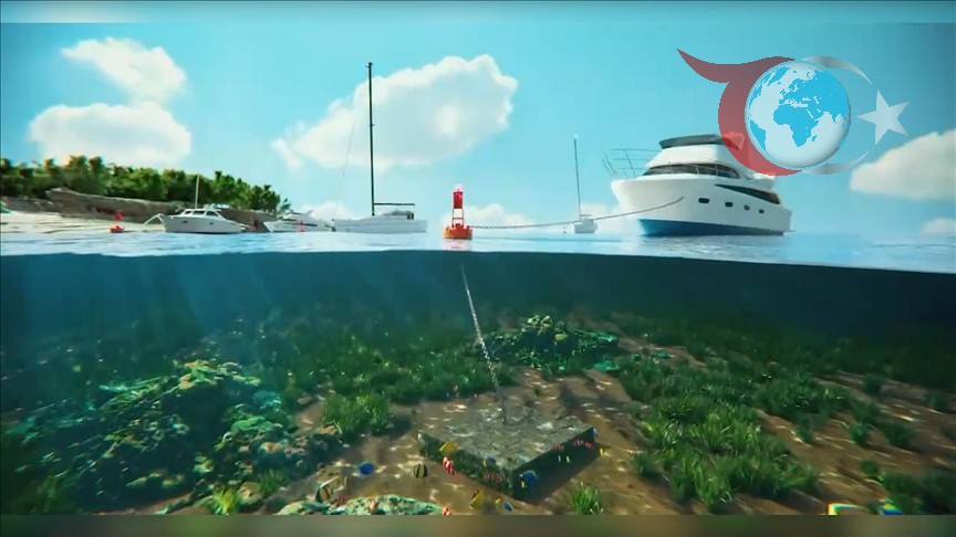 Deniz Çayırlarını Koruma Projesi: Mapa ve Şamandıra Sistemiyle Ekosistem Dengesi Kuruluyor