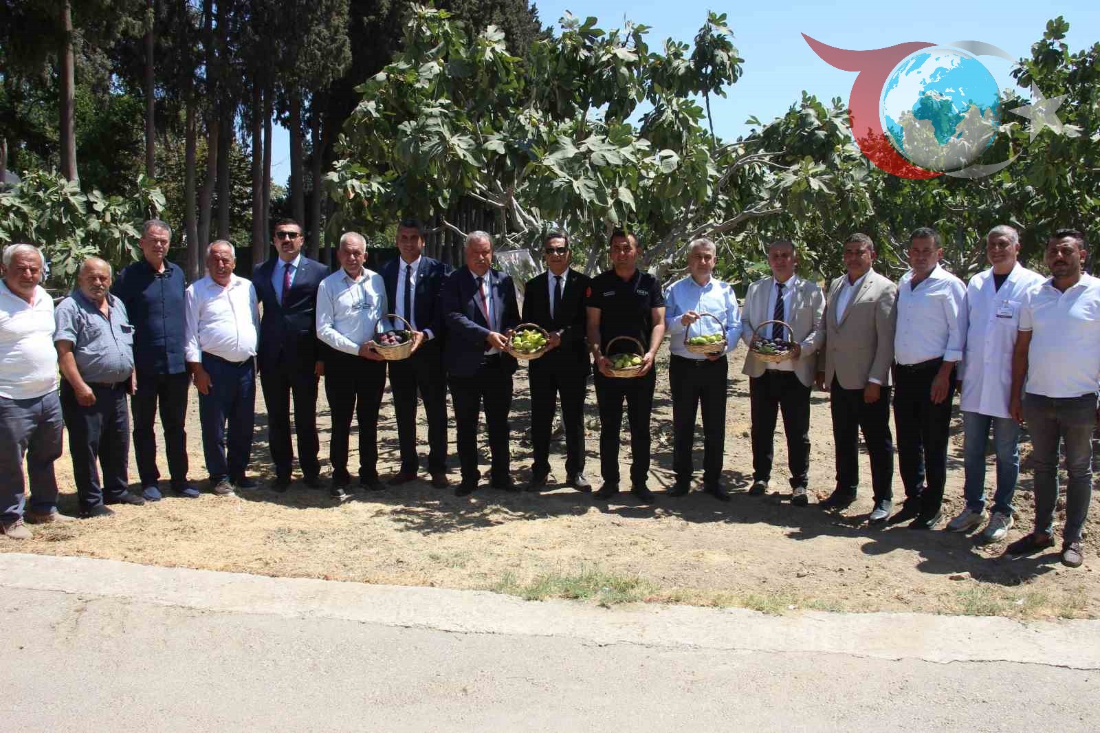 Aydın'da İncir Araştırmalarında Yeni Gelişmeler