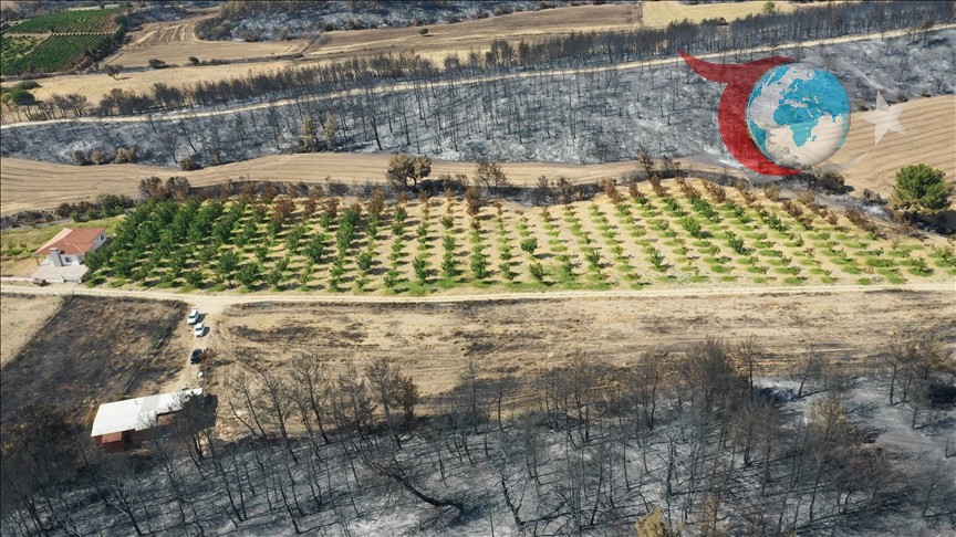 Yangınlar Çanakkale'de Tarım Alanlarını Tehdit Etti