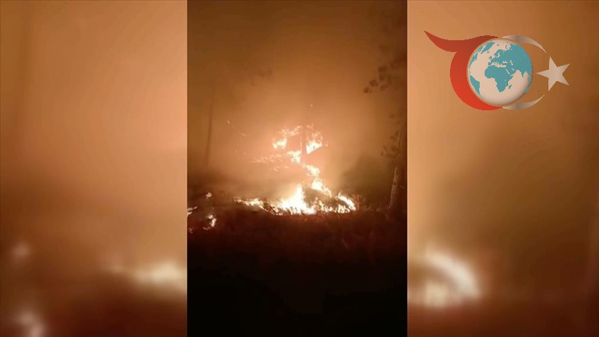Muğla'nın Ormanlık Bölgesinde Çıkan Yangın Ekipleri Seferber Etti