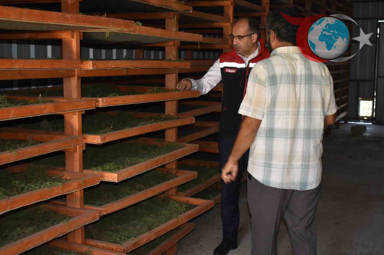 Bayburt'ta Tarhun Devrimi: Katma Değerli Üretimle Geniş Kitlelere Ulaşıyor