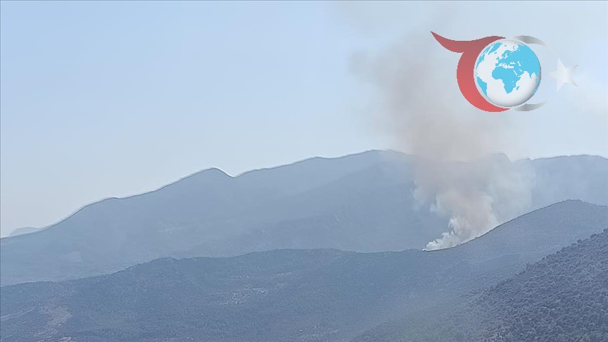 Muğla ve Adana'daki Orman Yangınlarına Karadan ve Havadan Yoğun Müdahale