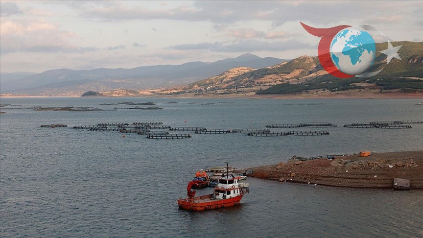 Almus Baraj Gölü'nde Balık Üretimi: Ekonomiye Katkı ve İhracat Başarıları