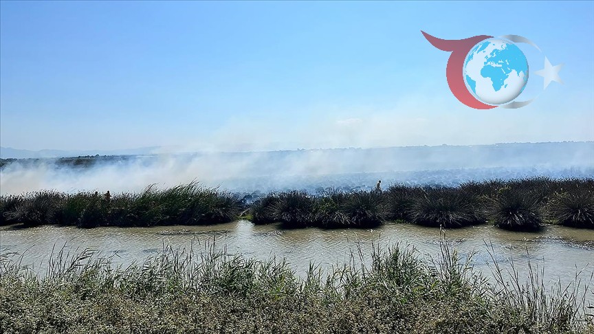 Samsun'da Kuş Cenneti'nde Çıkan Yangın Korkuttu