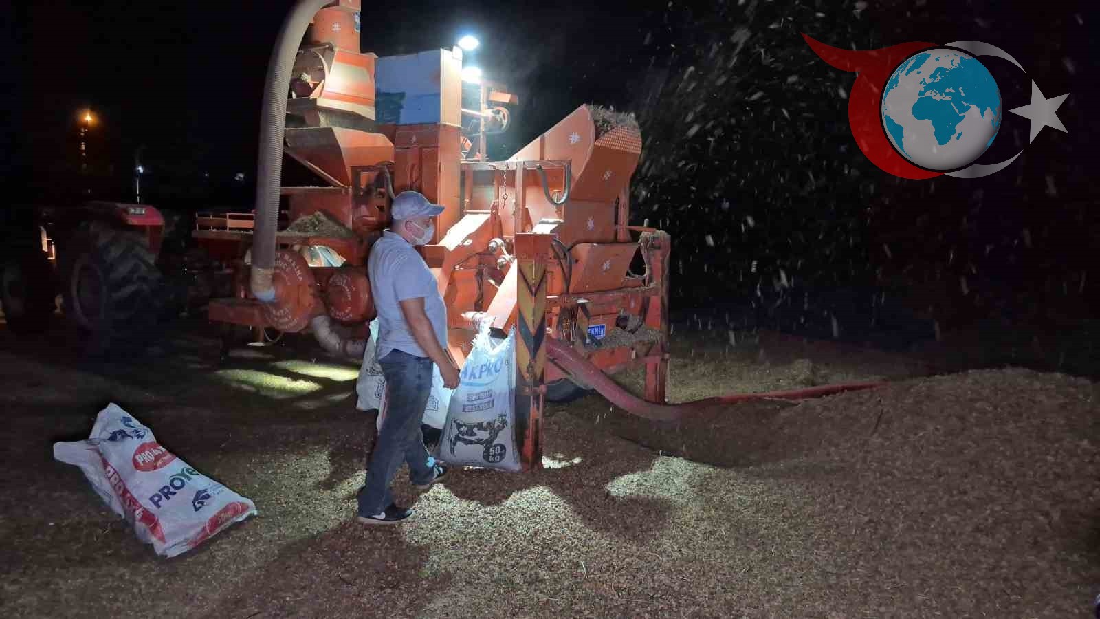 Fındık Hasadında Zorluklar ve Üreticilerin Mücadelesi