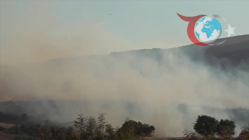 Balıkesir'de Orman Yangını: Ekipler Harekete Geçti