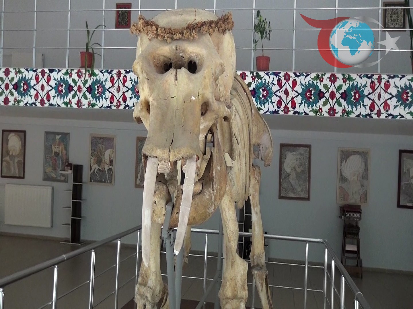 Erzincan’daki Doğa Tarihi Müzesi Dijitalleşiyor