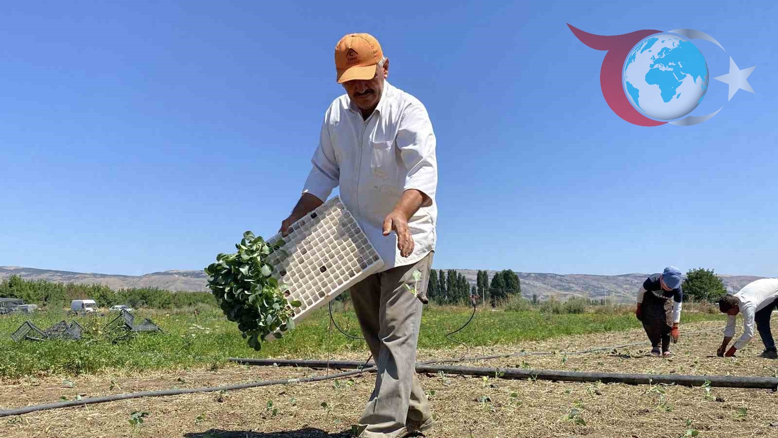 Kuraklık ve Artan Maliyetler Çiftçiyi Zor Durumda Bıraktı: Gelecek Tehlikede