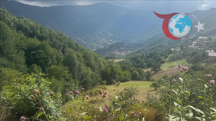 Giresun'un Yükselen Turizm Cenneti: Kulakkaya Yaylası