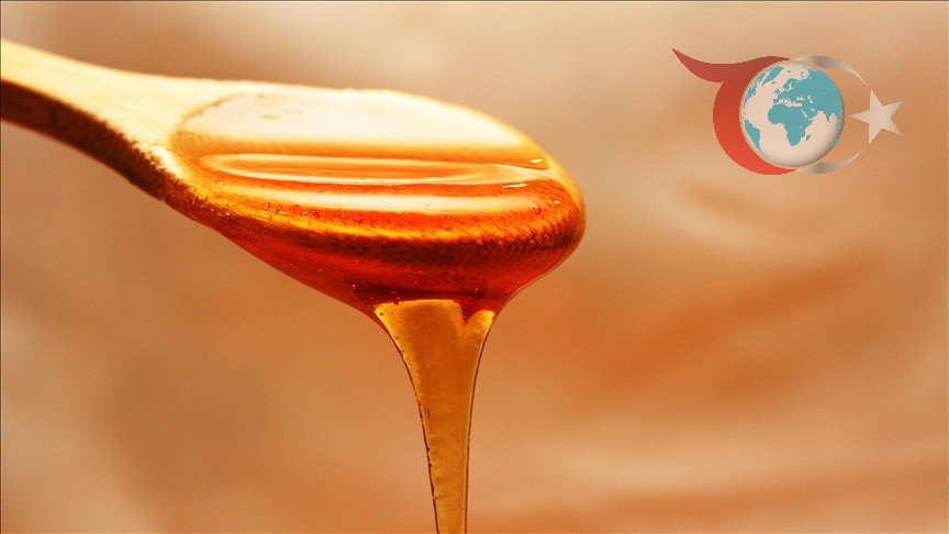 Doğu Karadeniz Bal İhracatında Hedef Büyütüyor