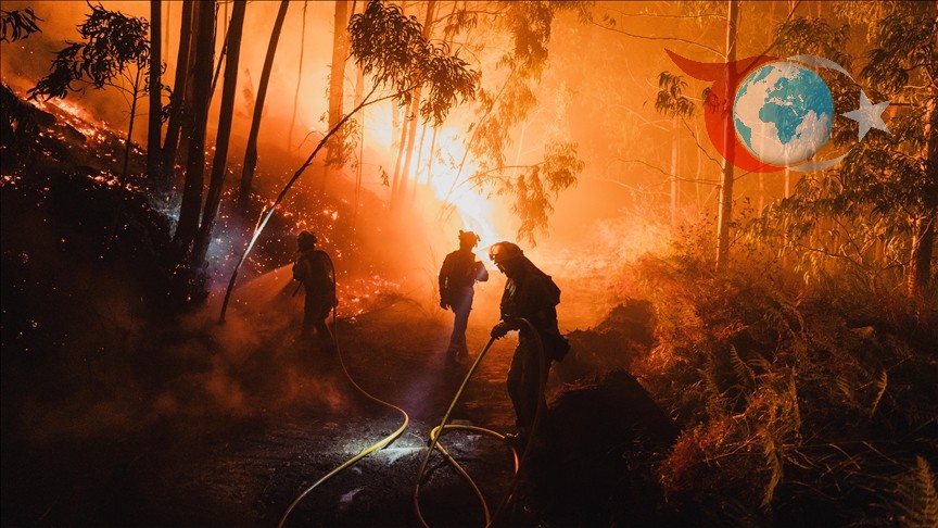 Avrupa'da Orman Yangınları: İklim Krizinin Gölgesinde Rekor Kayıplar