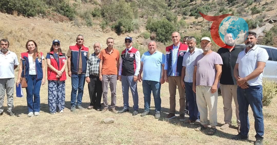 Aydın'da Mera Islah Projeleri ile Hayvancılığa Destek