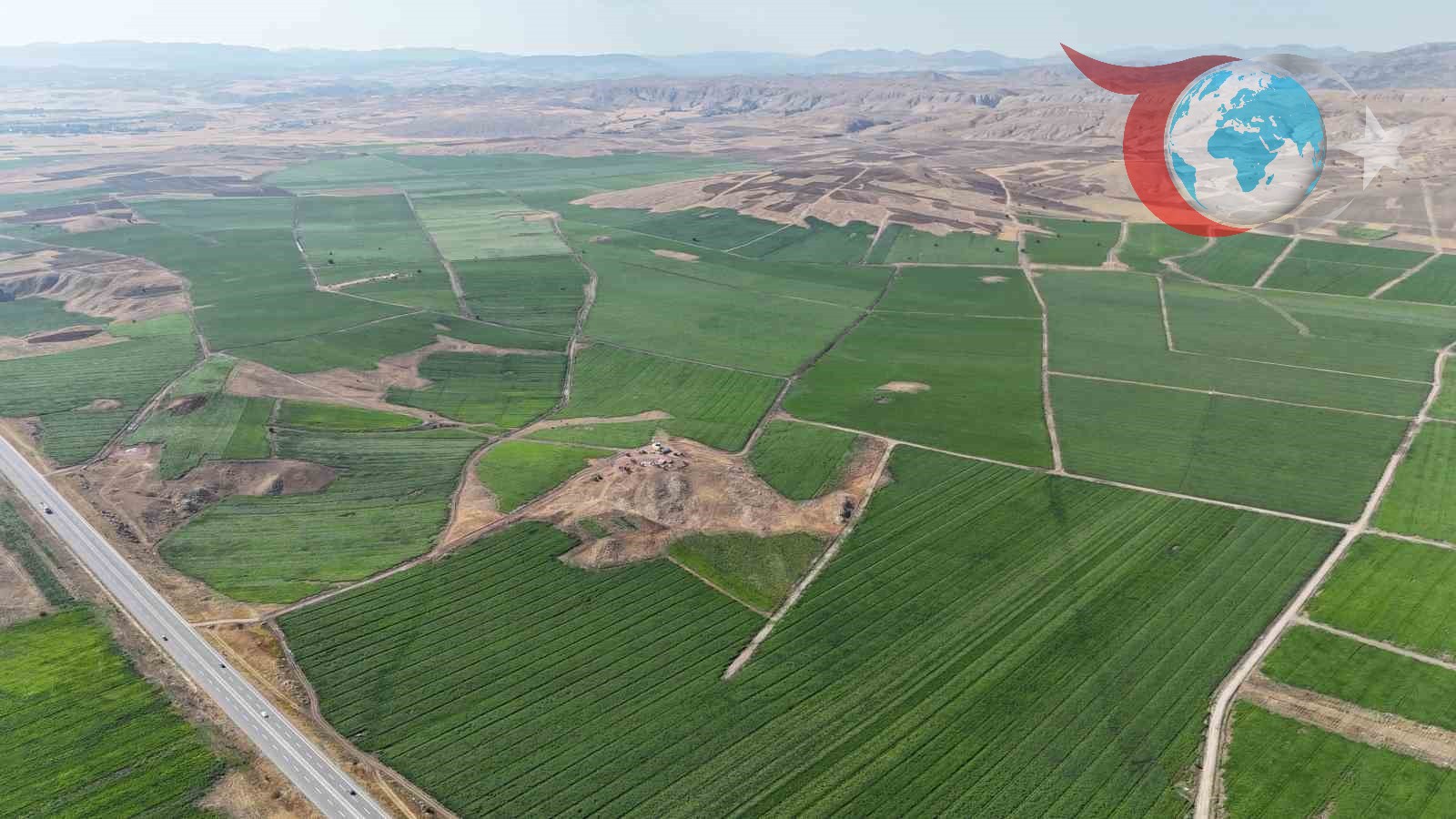 Sivas'ta Patates Üretimi: İklim Koşulları ve Gelecek Beklentileri