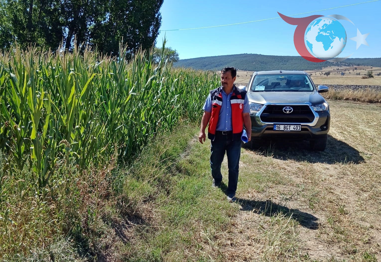 Kütahya'da Silajlık Mısır Tarlaları Yerinde İncelendi