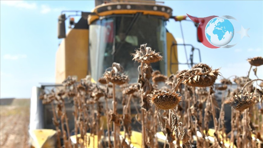 Şanlıurfa Valisi Hasan Şıldak, Ceylanpınar'da Tarıma İvme Kazandırıyor