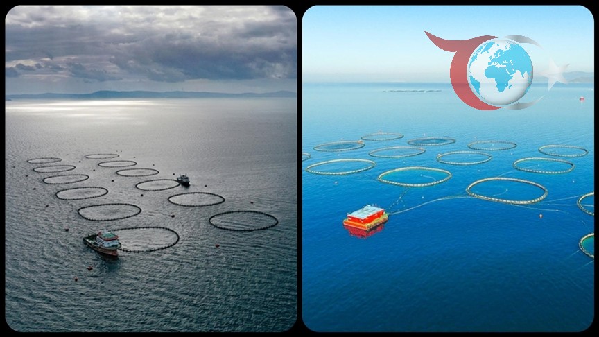 Tarım, Ormancılık ve Balıkçılık Sektöründe Çarpıcı Büyüme