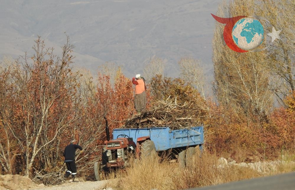 Erzincan'da Kış Hazırlıkları Hız Kazandı: Köy Sakinleri Isınma Çaresi Arıyor