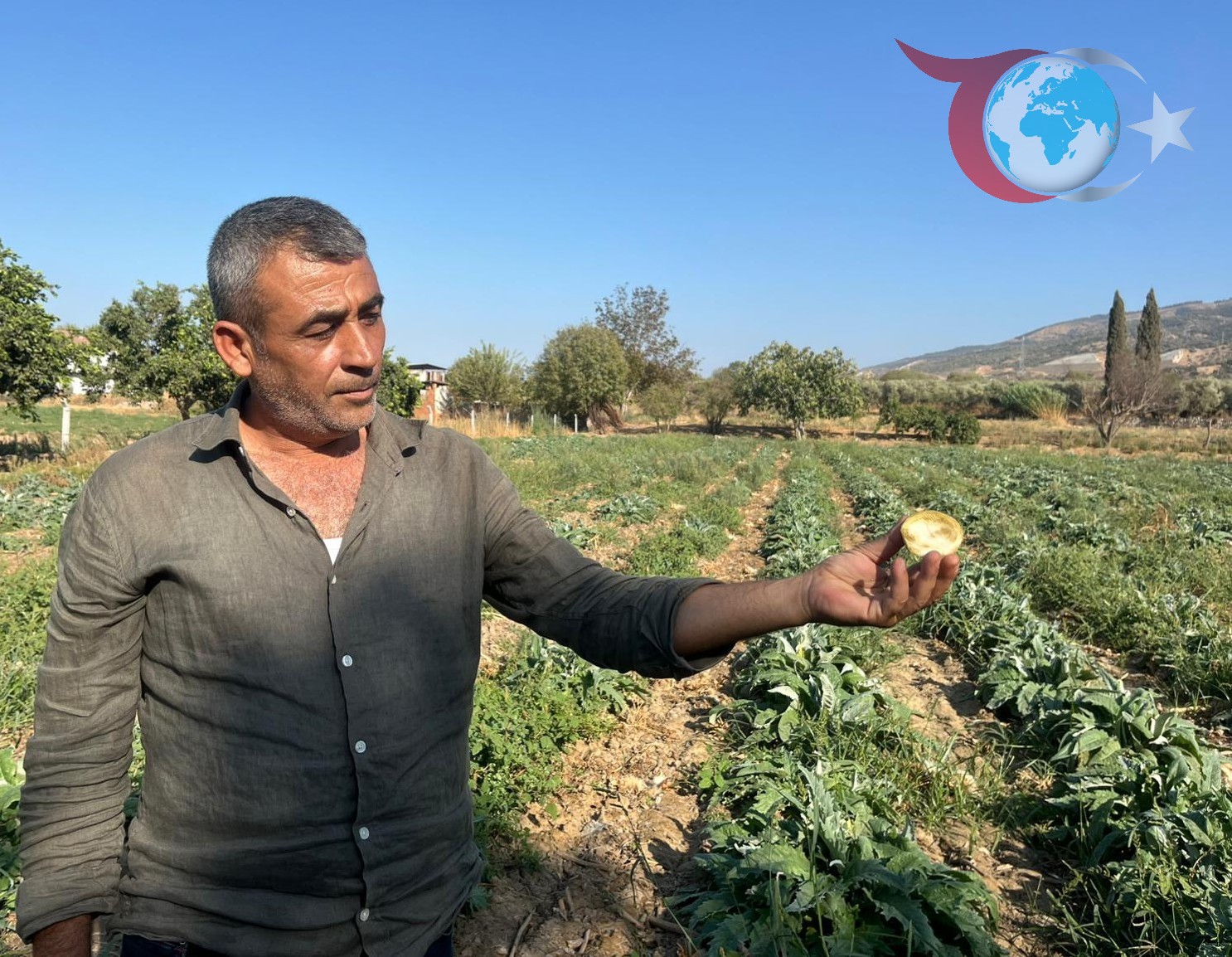 Aydınlı Üreticiler, Enginarın Katma Değerini Arıyor