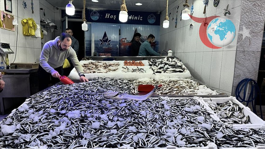 Karadeniz'de Hamsi Bereketi: Balıkçılar Yüzleri Güldürüyor