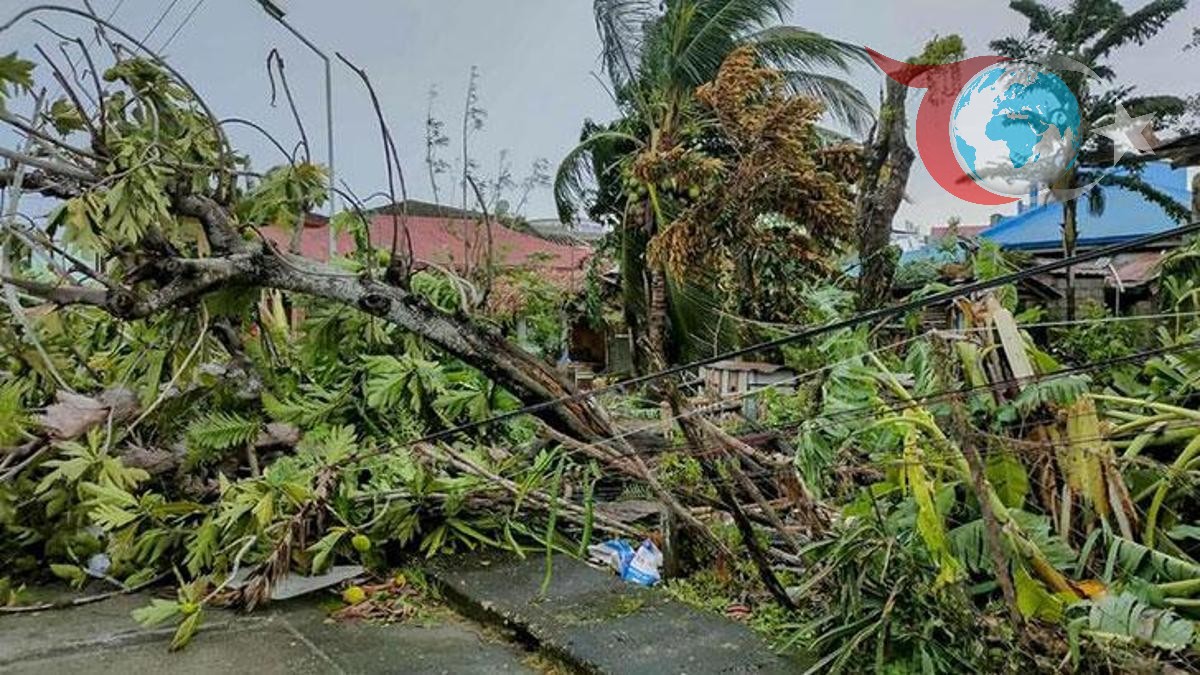 Vietnam'ı Vuran Bualoi Tayfunu: Tahliye Hazırlıkları ve Uyarılar