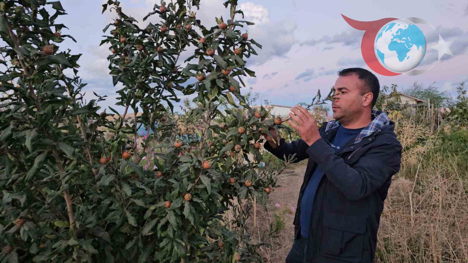 Tatvan'da Sert İklime Meydan Okuyan Meyve Bahçesi Başarı Hikayesi
