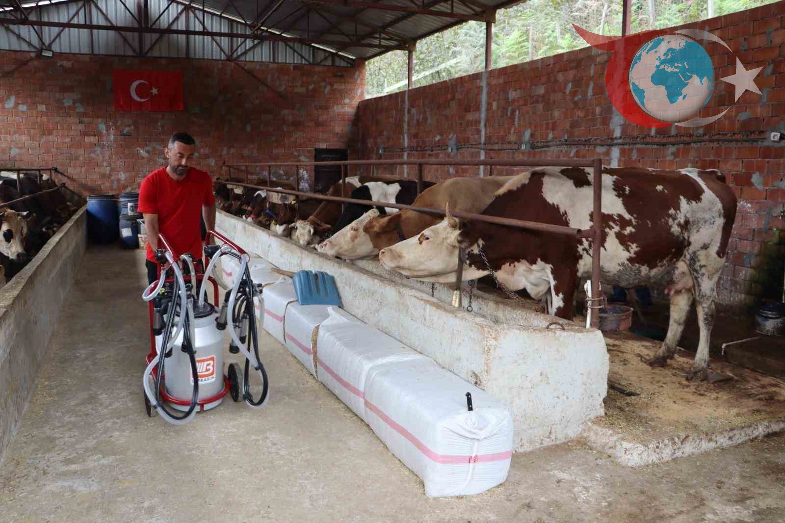 Ordu Büyükşehir Belediyesi'nin Süt Üreticilerine Katkısı: Soğutma Tankları ve Toplama Merkezleri