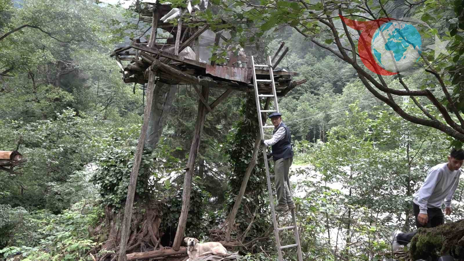 Rize'de Yerden Yükseklerde Üretilen Karakovan Balları Rekor Fiyattan Satışta