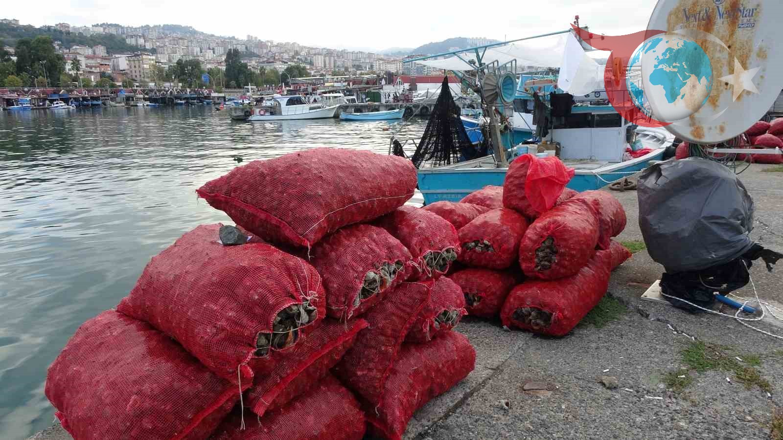 Deniz Salyangozu Avcılığı: Balıkçılar Umduklarını Bulamıyor