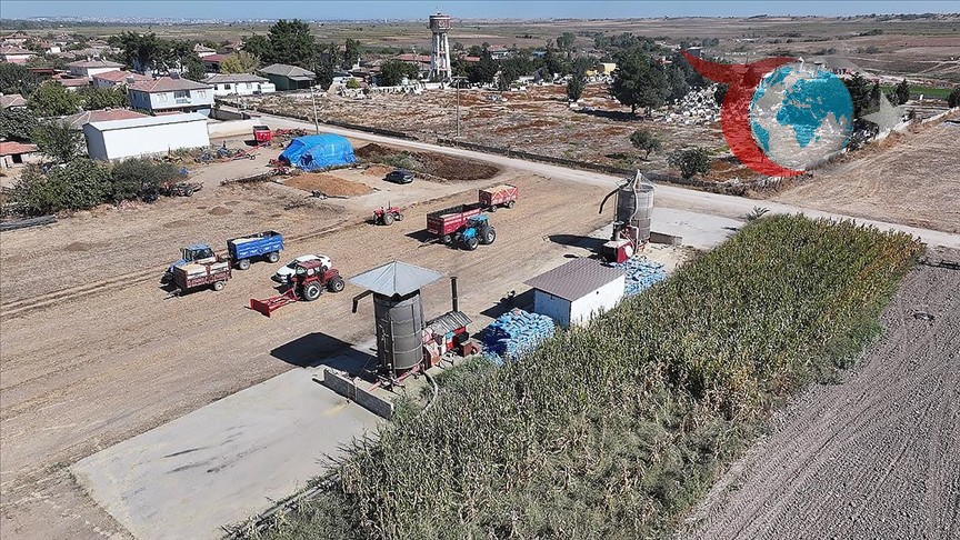 Edirne'de Çeltik Kurutma Süreci: Emek ve Zamanın Hikayesi