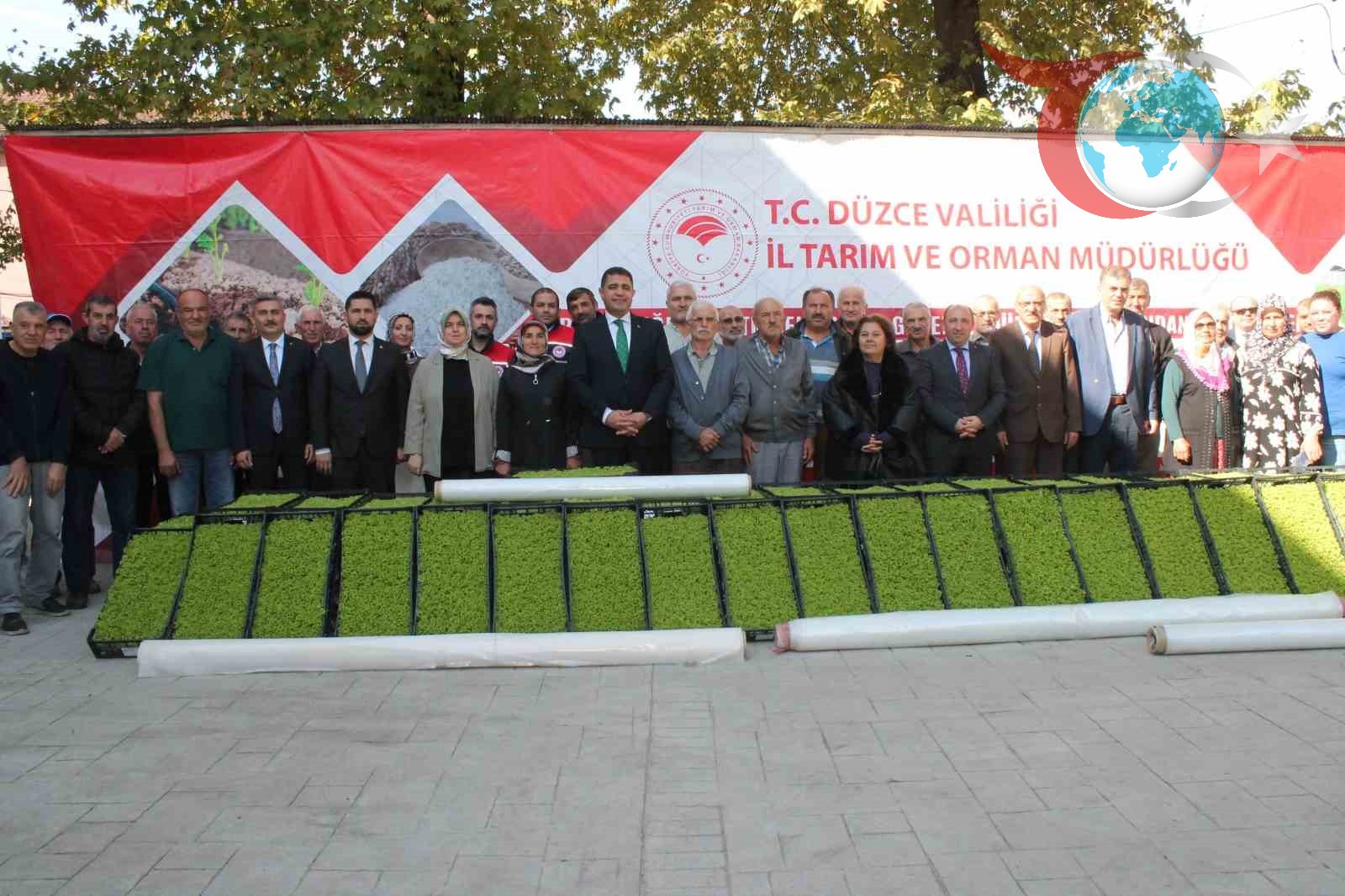 Düzce'de Marul Üretiminin Geliştirilmesi ve Modern Seracılık Atılımı