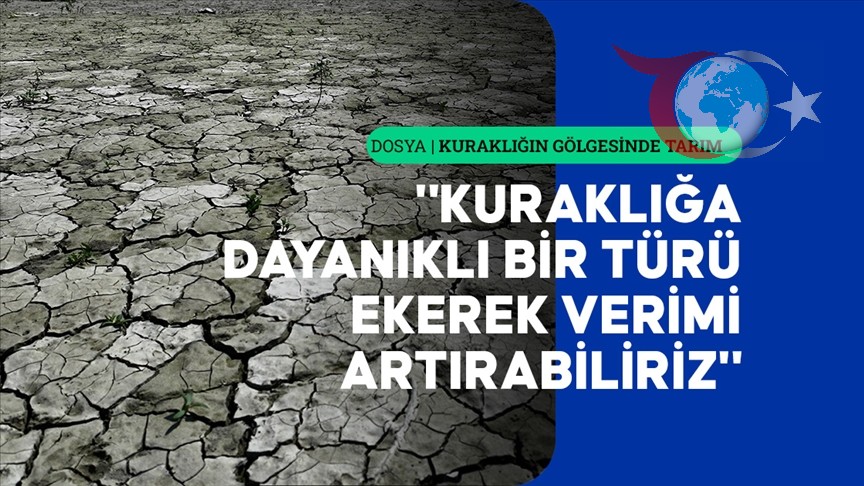Kuraklık ve Tarım: Çiftçilere Bilgi ve Eğitimle Çözüm Yolları