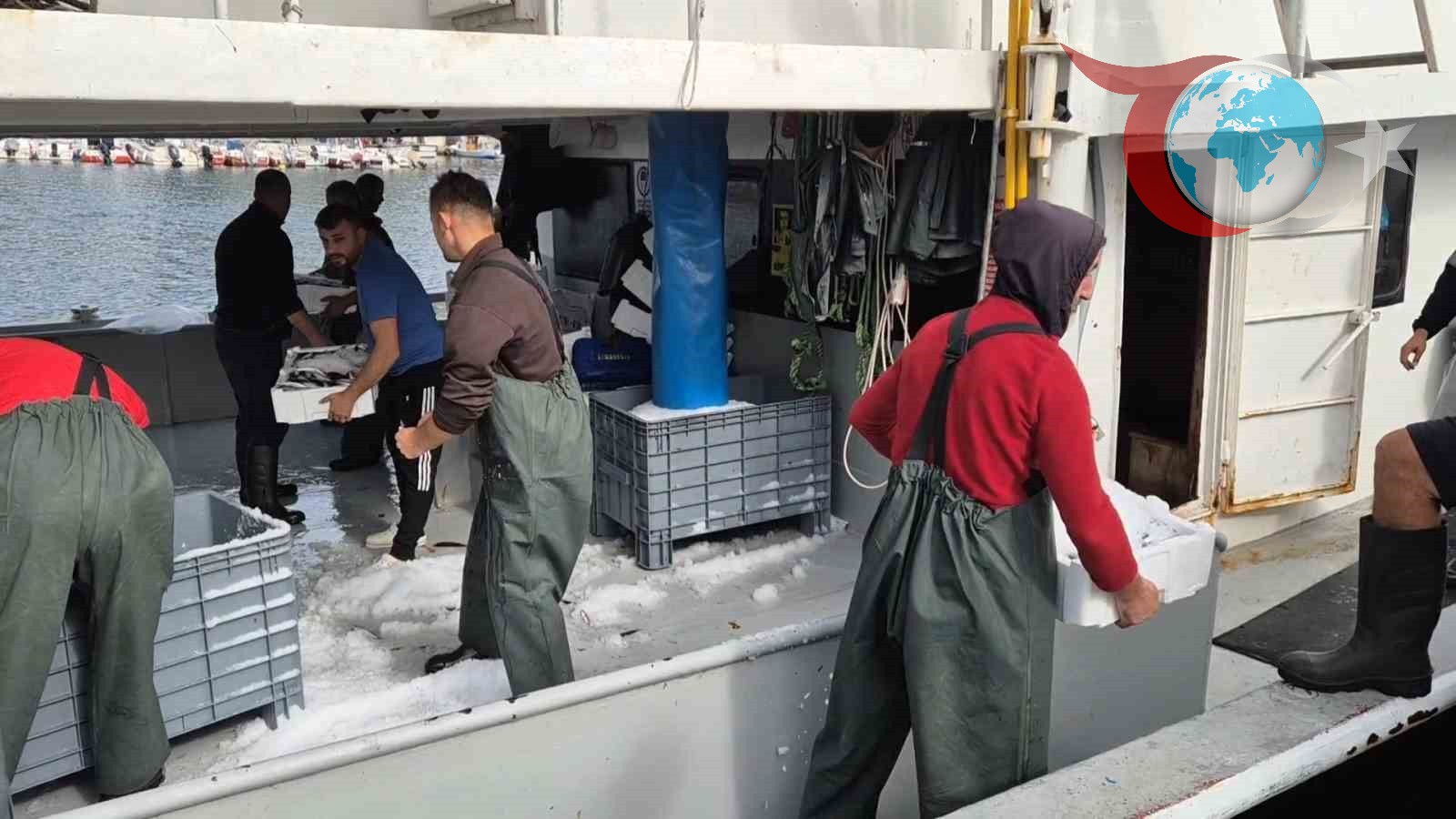 Marmara Denizi’nde Balık Bolluğu: Süleymanpaşa Limanı’nda İstavrit Bereketi