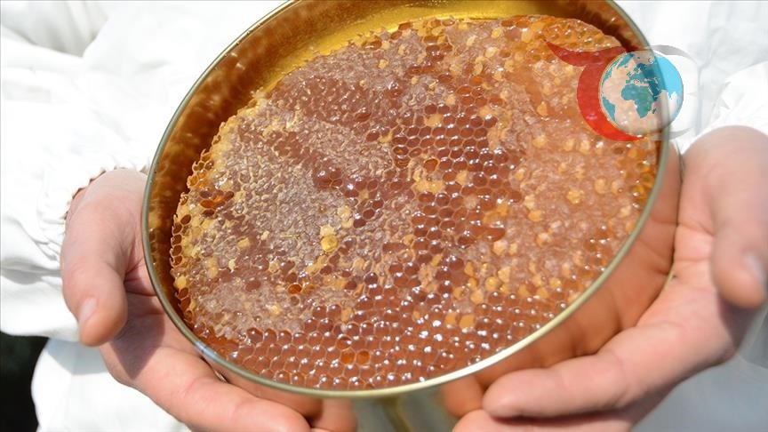 Türk Balı İhracatında Yükseliş: 46 Ülkede Alıcı Buldu