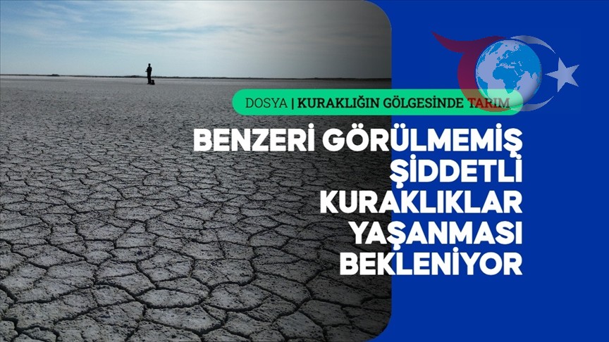 İklim Değişikliği Dünya Şehirlerini Su Kriziyle Tehdit Ediyor