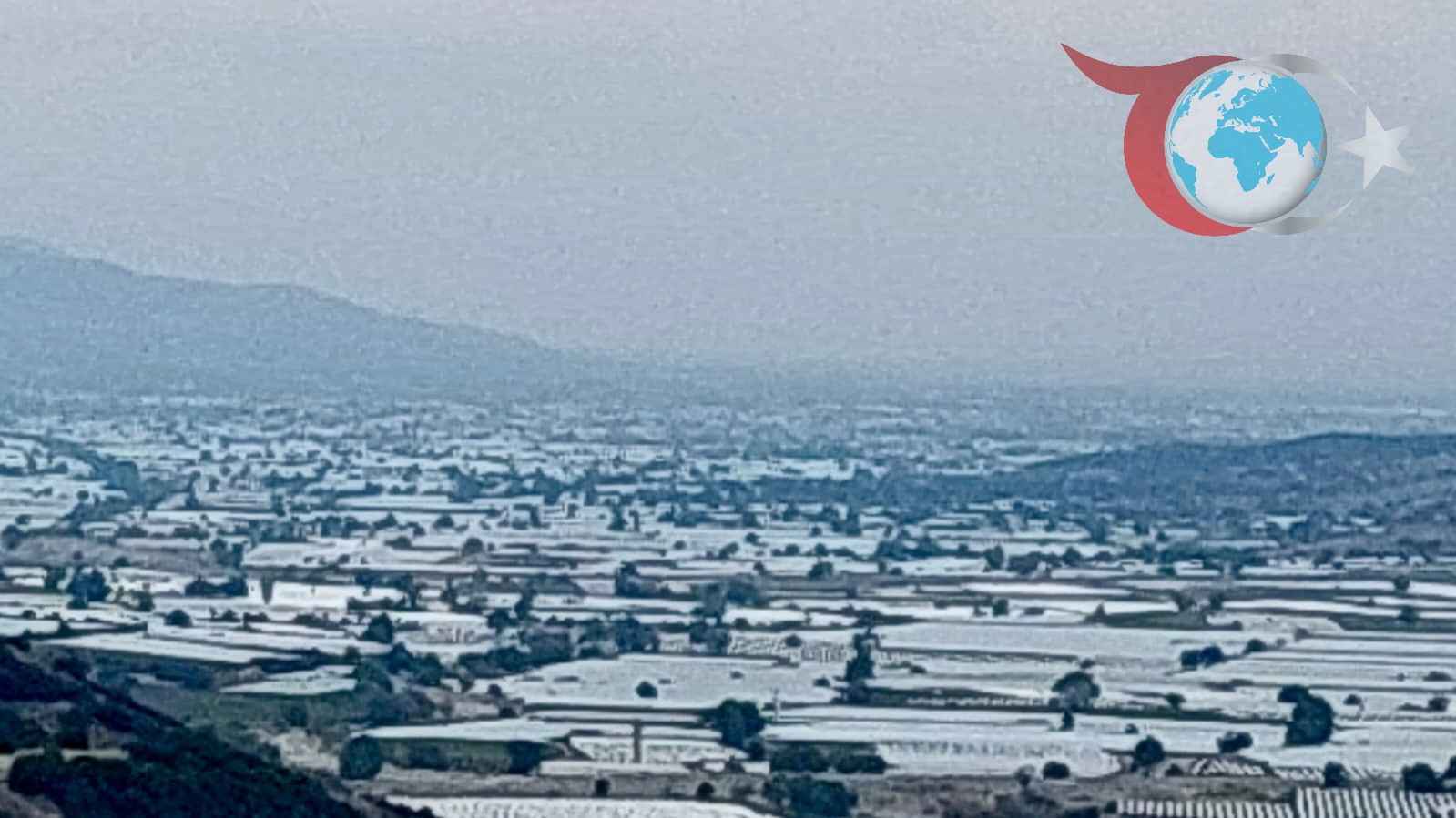 Sarıgöl’de Sultani Çekirdeksiz Üzüm İçin Hasat Zamanı