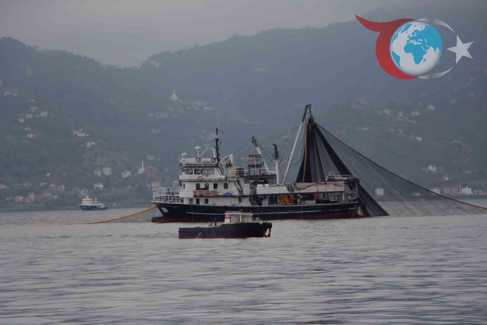 Karadeniz'de Hamsi Stokları Tehlike Çanlarını Çalıyor