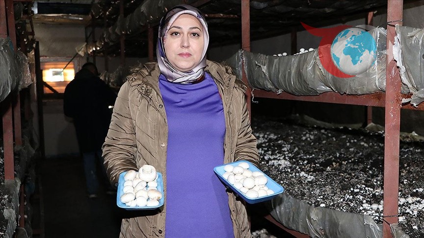 Mantar Üretiminde Kadın Gücü: Erzurumlu Girişimci Nurcan Aktaş'ın Başarı Hikayesi