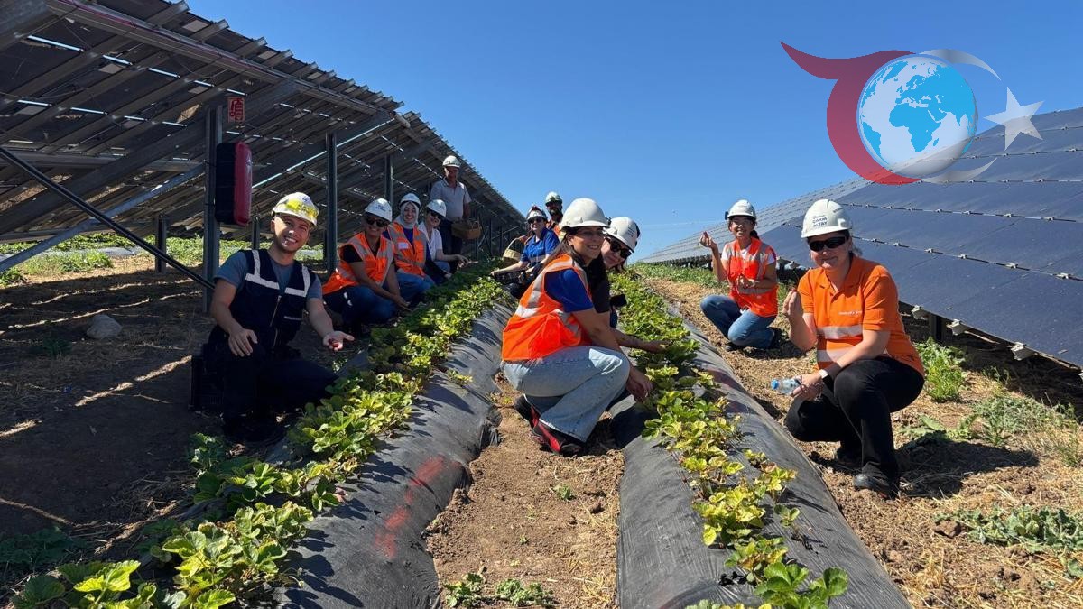 Enerjisa Üretim'den Tarımda Yenilik: Güneş Panelleriyle Agrivoltaik Dönüşüm