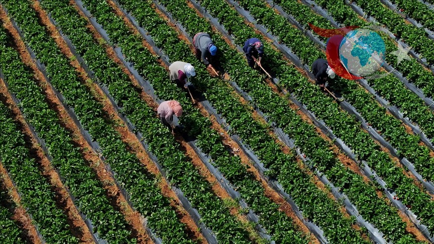 TÜİK Tarım-GFE Verileri Açıklandı