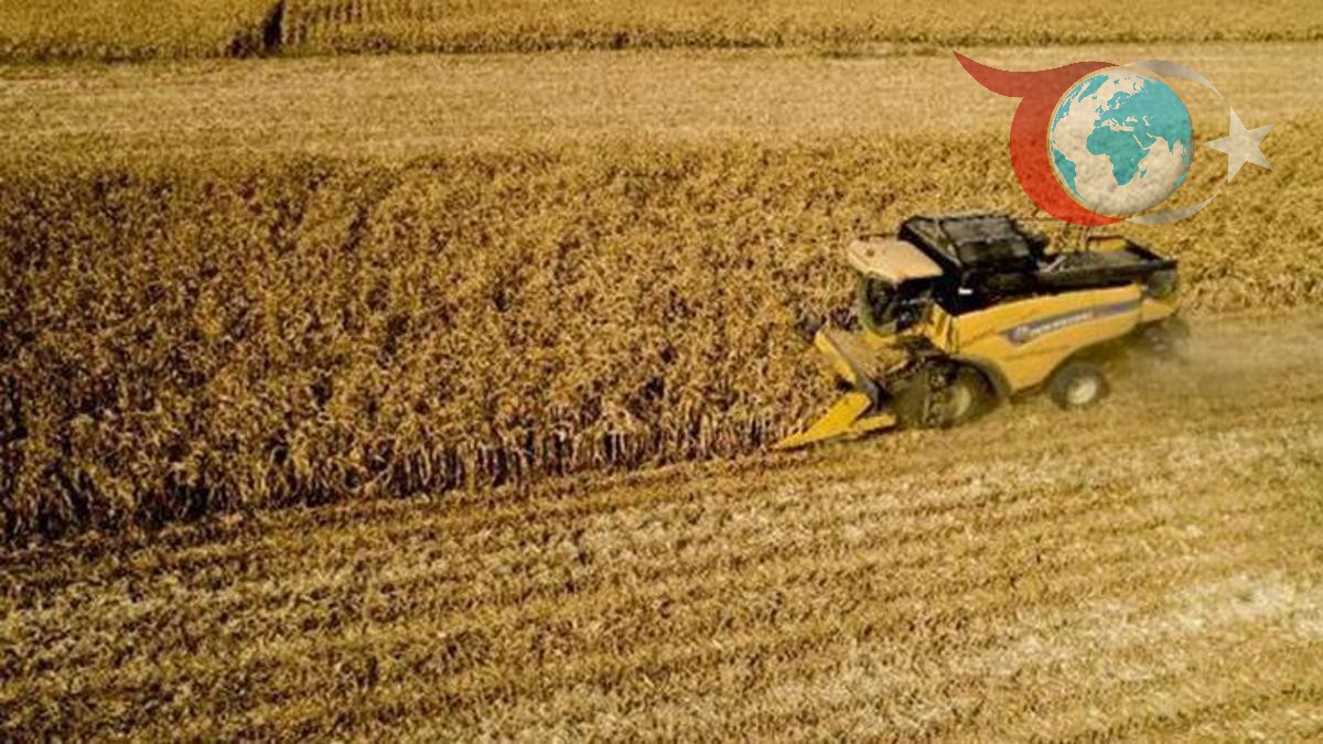 TÜİK Tarımsal Girdi Fiyat Endeksi Mart 2025 Verilerini Açıkladı!