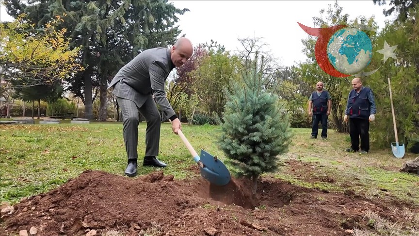 YÖK Başkanı Özvar'dan Milli Ağaçlandırma Günü'ne Destek