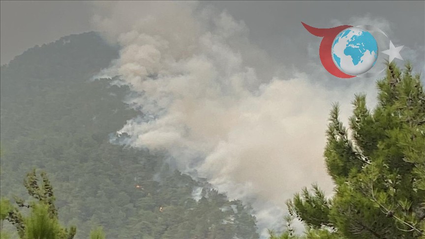 Hatay'daki Orman Yangınına Hızlı Müdahale